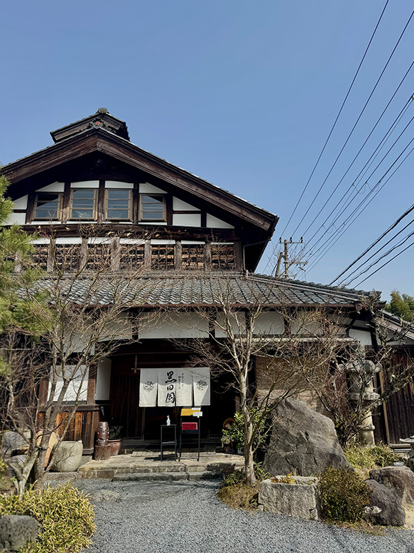 Mujo Matcha